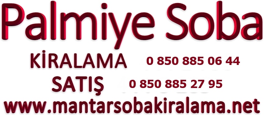 Palmiye soba satışı